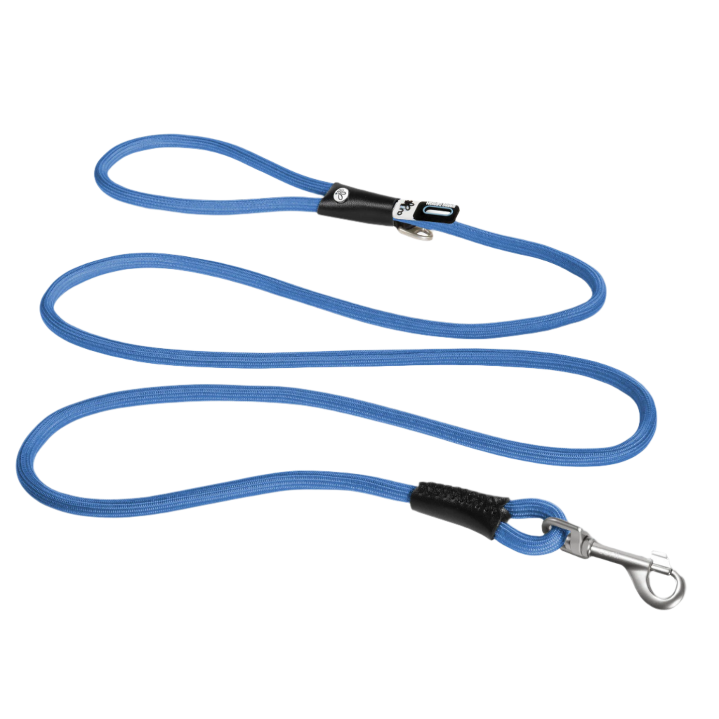 blue standard nylon leash with secure metal clasp