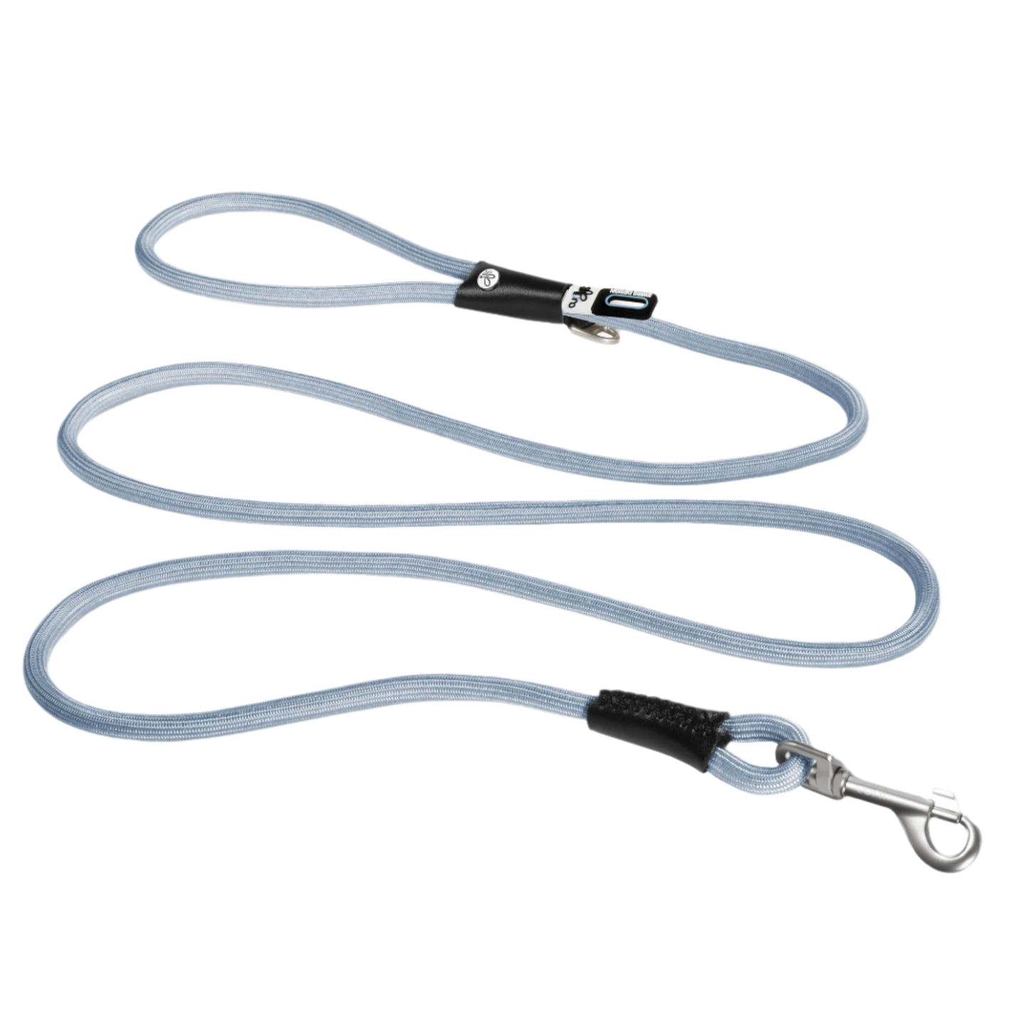 blue standard nylon leash with secure metal clasp