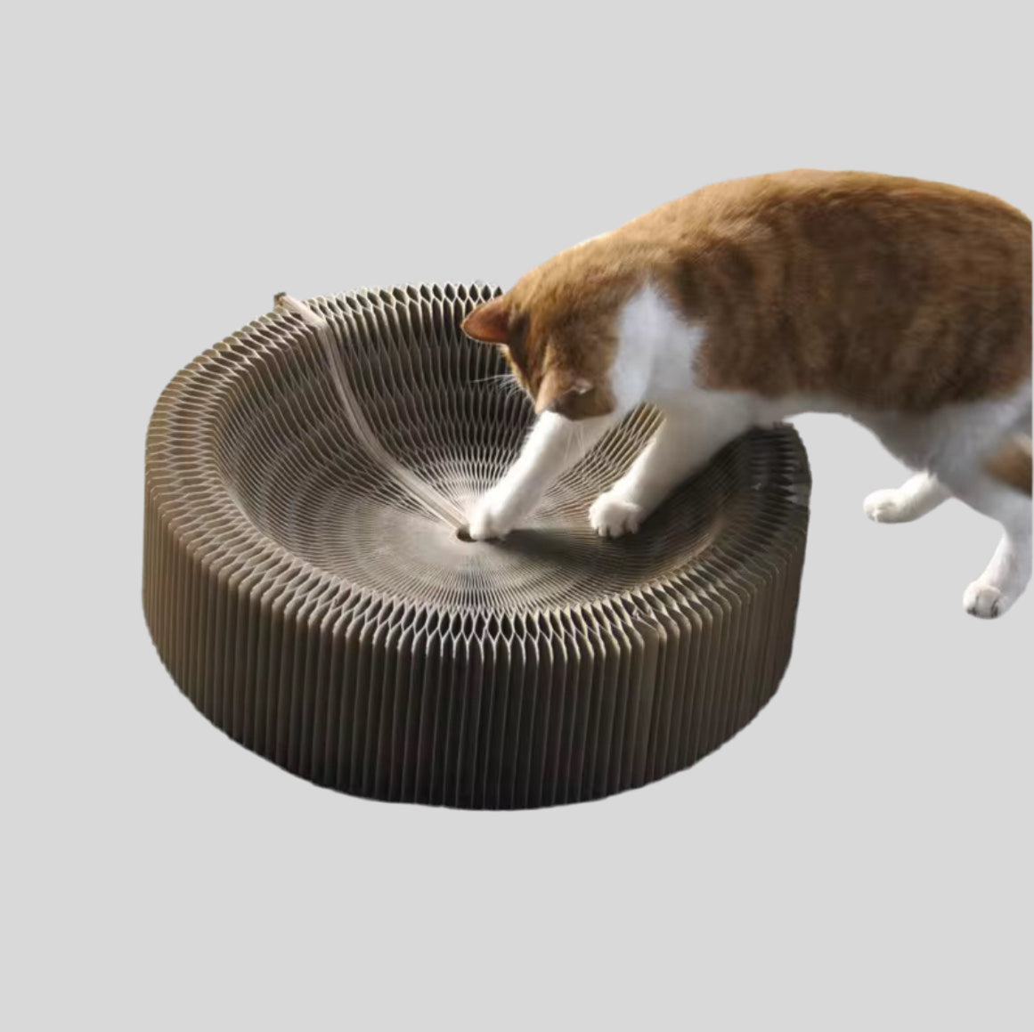 Cat scratching foldable cardboard honeycomb lounge