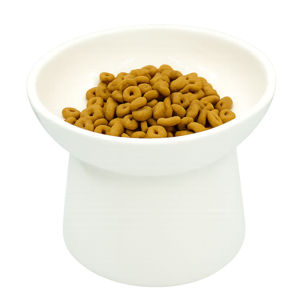 white elevated ceramic pet bowl with slanted design for cats