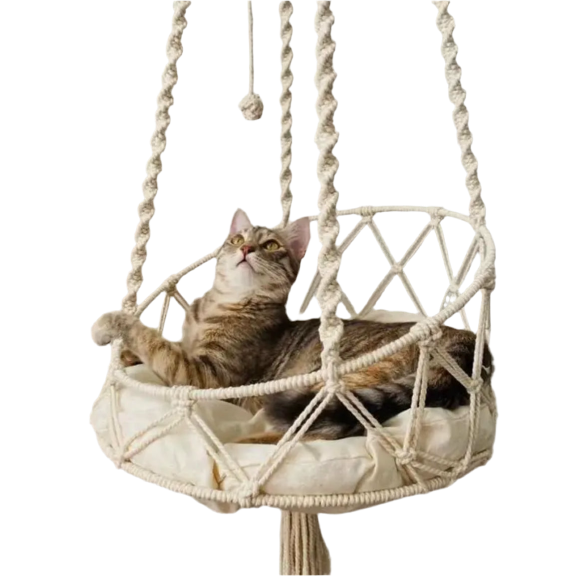 Hanging cotton cat hammock with twisted rope detail.