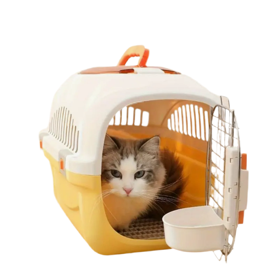 The Witness Protection Box | Top-Load Ventilated Cat Carrier (50 cm)