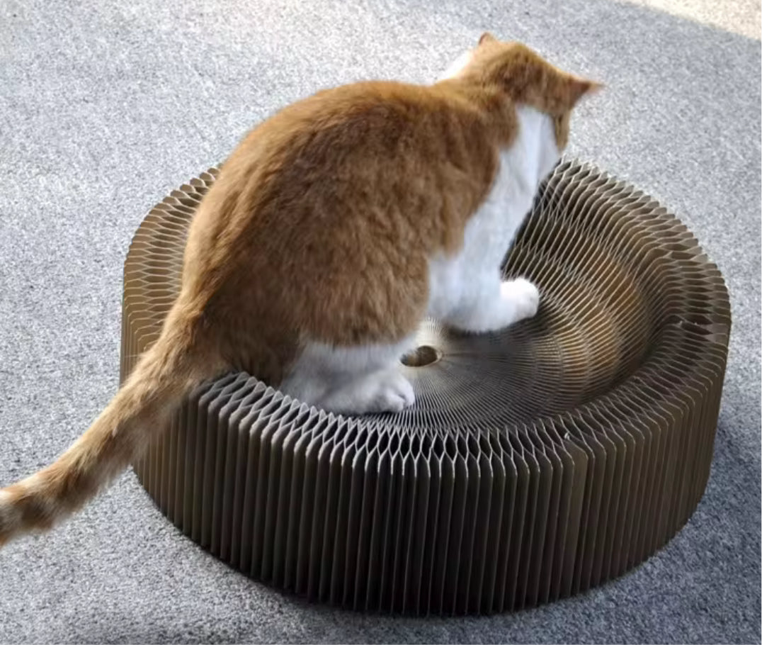 Cat scratching foldable cardboard honeycomb lounge