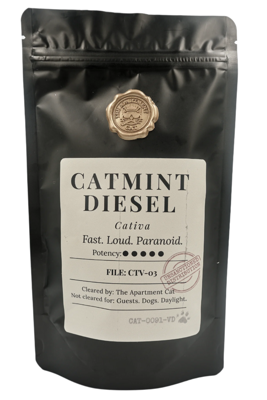 Premium catnip 40 g pack – Catmint Diesel. High potency catmint for cats – The Apartment Cat.