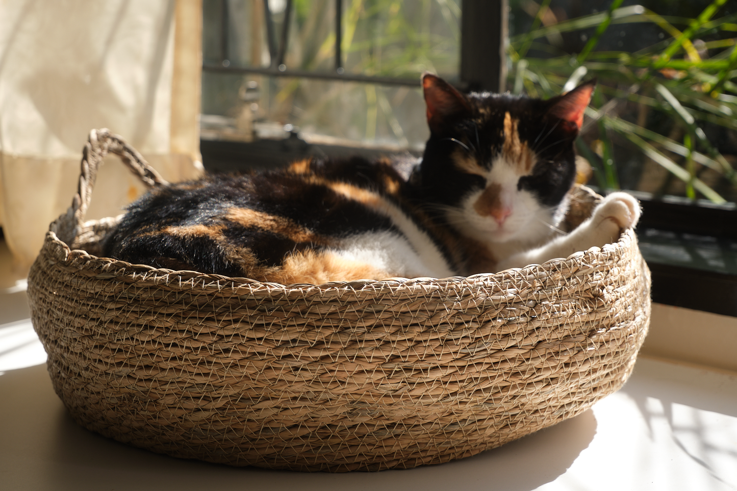The Verdict – Woven Cat Bed / Elevated Cat Seat