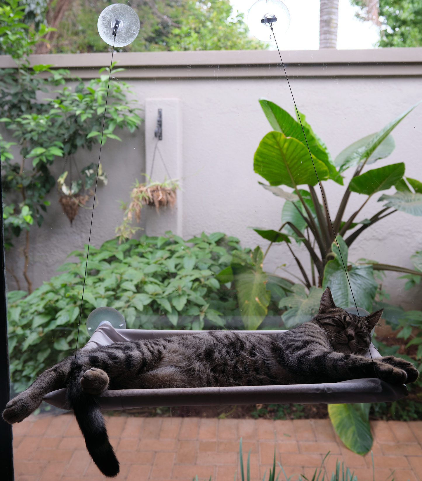 The Stakeout Perch | Cat Window Hammock with Strong Suction Cups