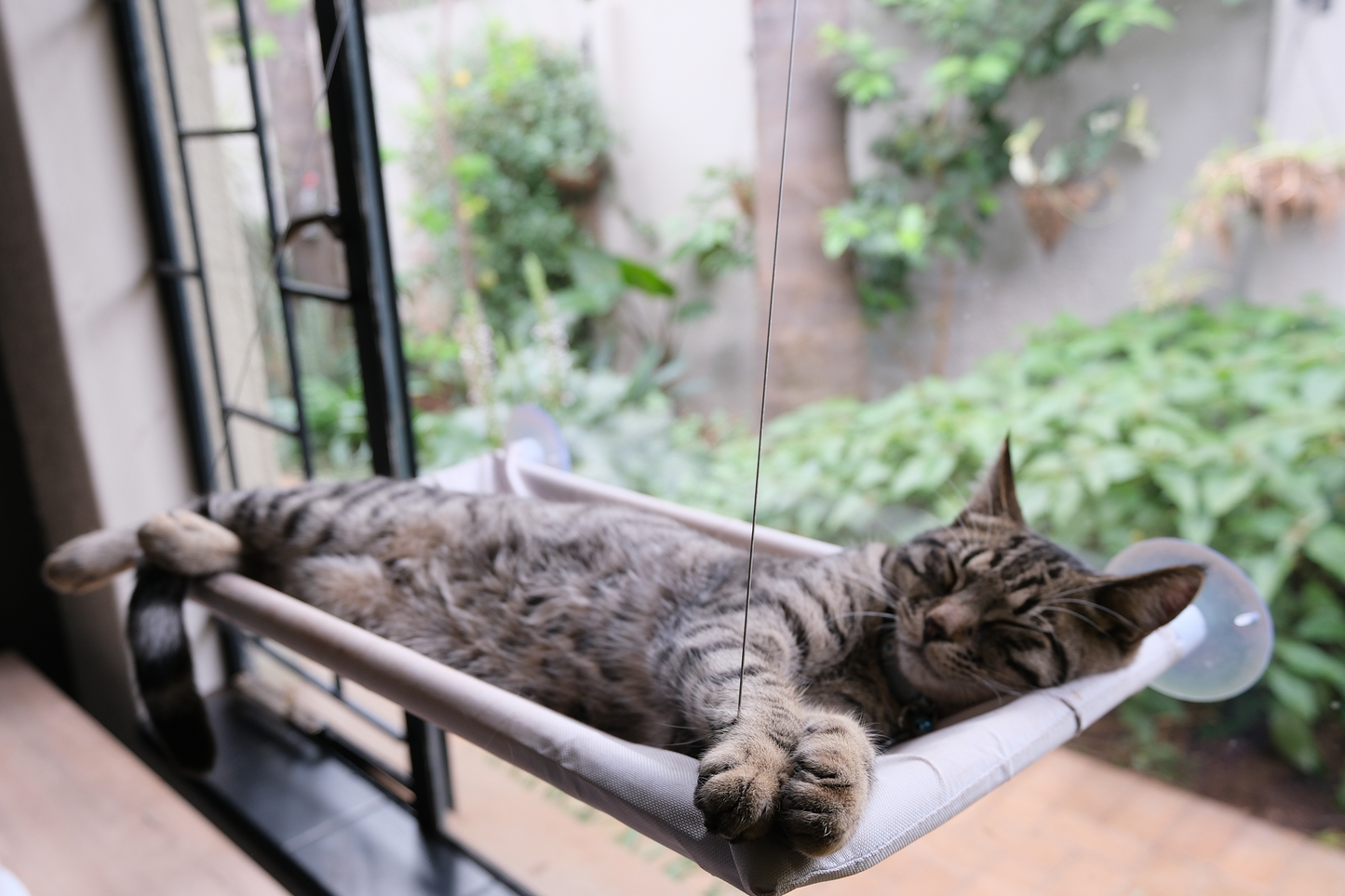 The Stakeout Perch | Cat Window Hammock with Strong Suction Cups