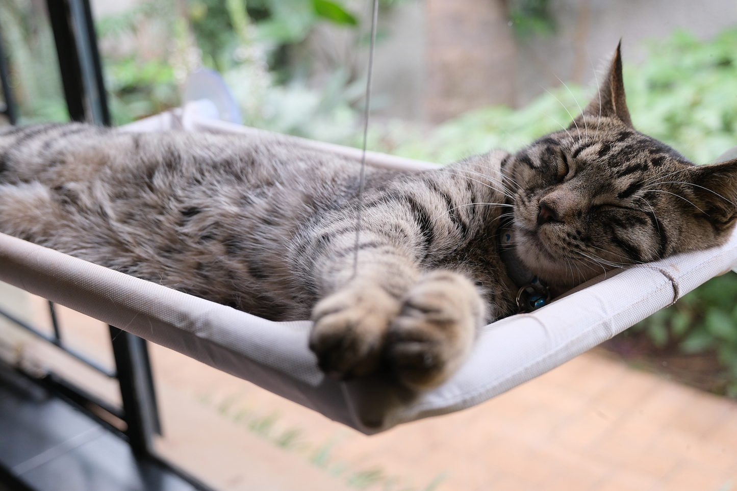 The Stakeout Perch | Cat Window Hammock with Strong Suction Cups