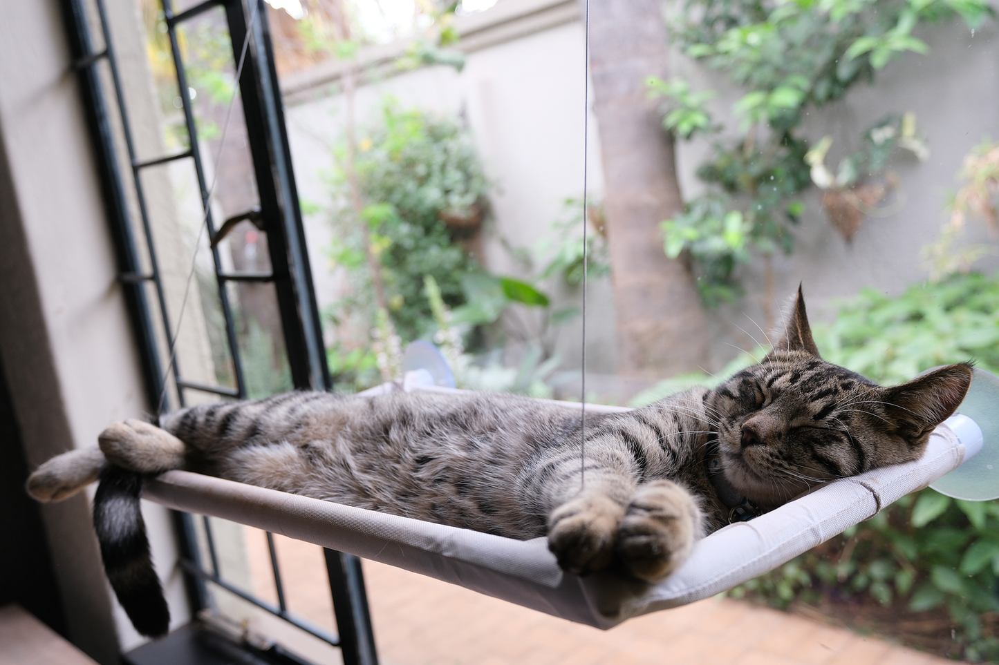 The Stakeout Perch | Cat Window Hammock with Strong Suction Cups