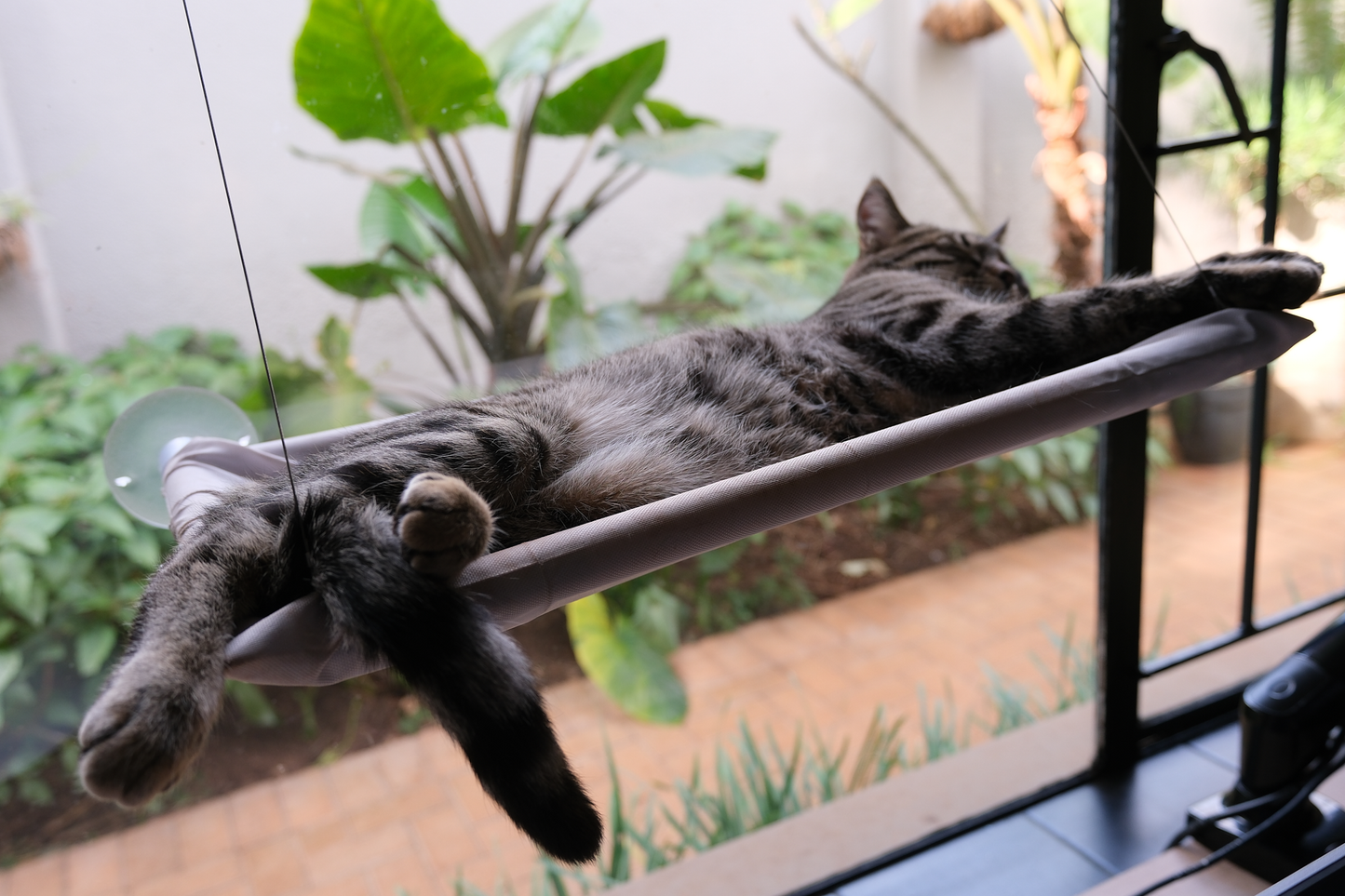 The Stakeout Perch | Cat Window Hammock with Strong Suction Cups