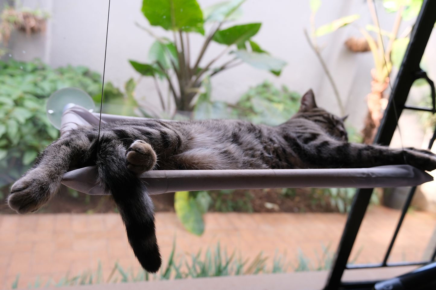 The Stakeout Perch | Cat Window Hammock with Strong Suction Cups