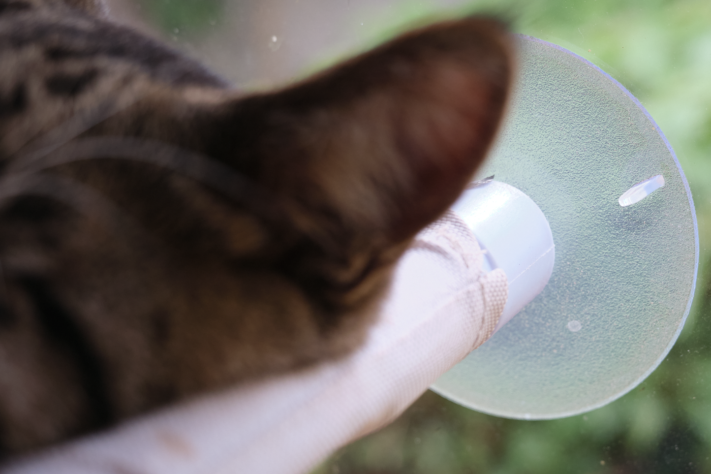 The Stakeout Perch | Cat Window Hammock with Strong Suction Cups