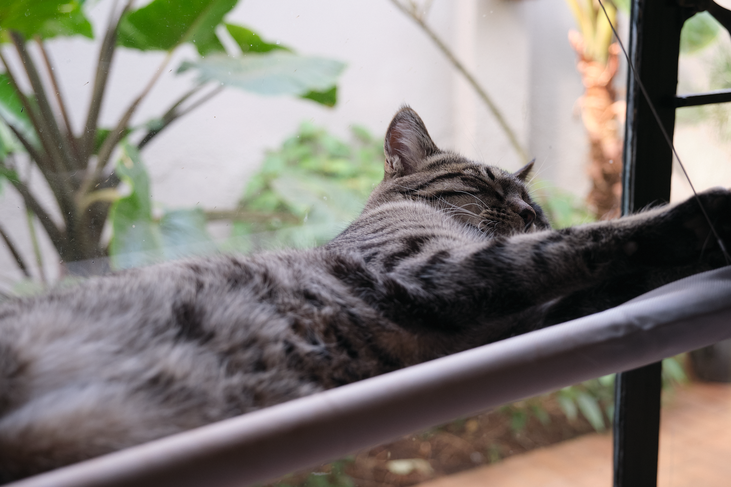 The Stakeout Perch | Cat Window Hammock with Strong Suction Cups