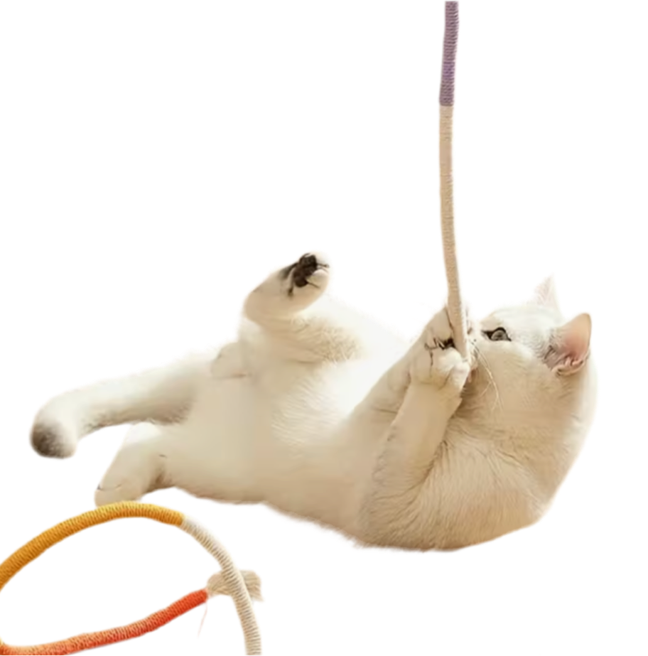 Durable cat chew toy rope South Africa