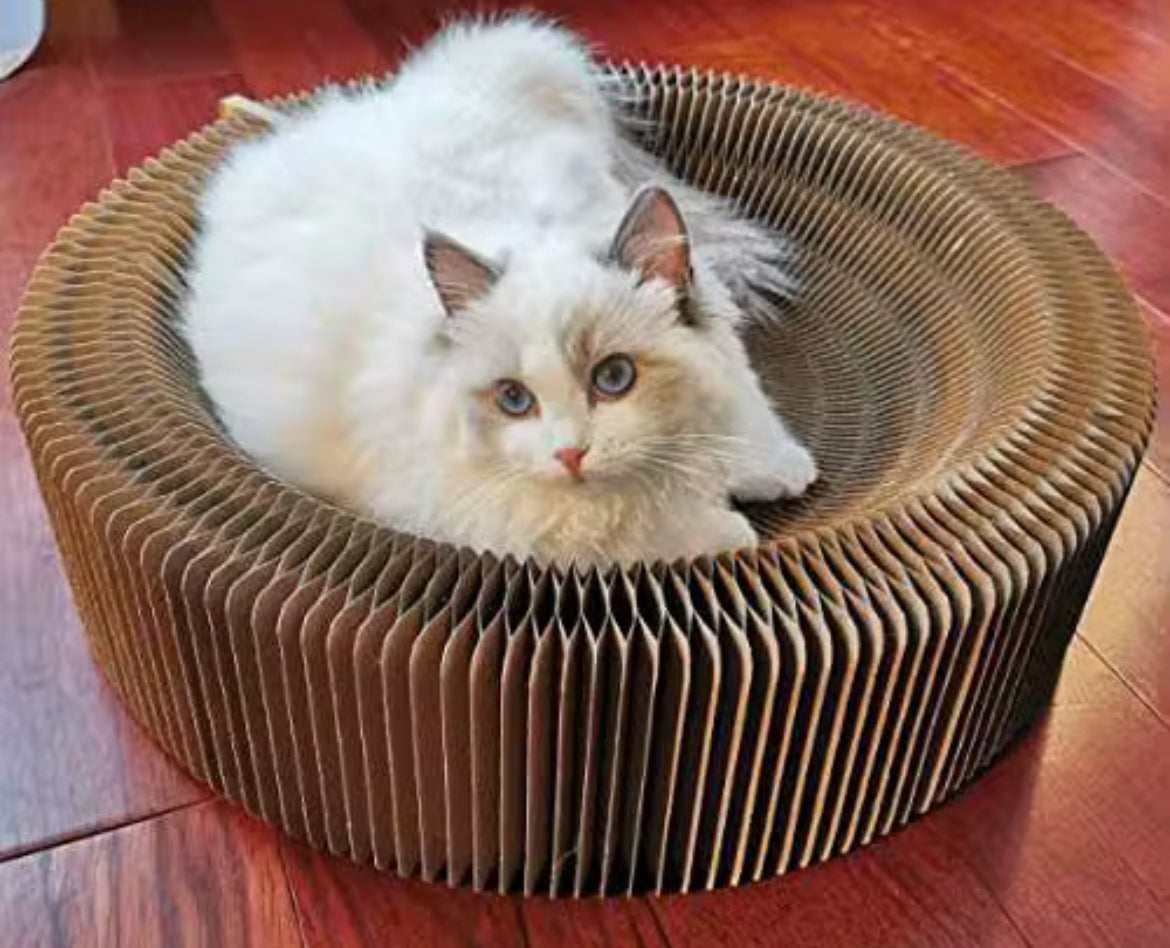 The Carboard Throne | Cat Scratch Lounge ⎮ Foldable Cardboard Cat Bed