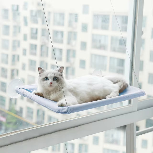 Cat lying on deluxe window hammock bed with strong suction cups attached to glass