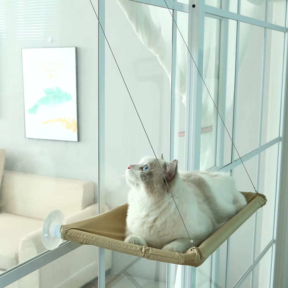 Cat lying on deluxe window hammock bed with strong suction cups attached to glass