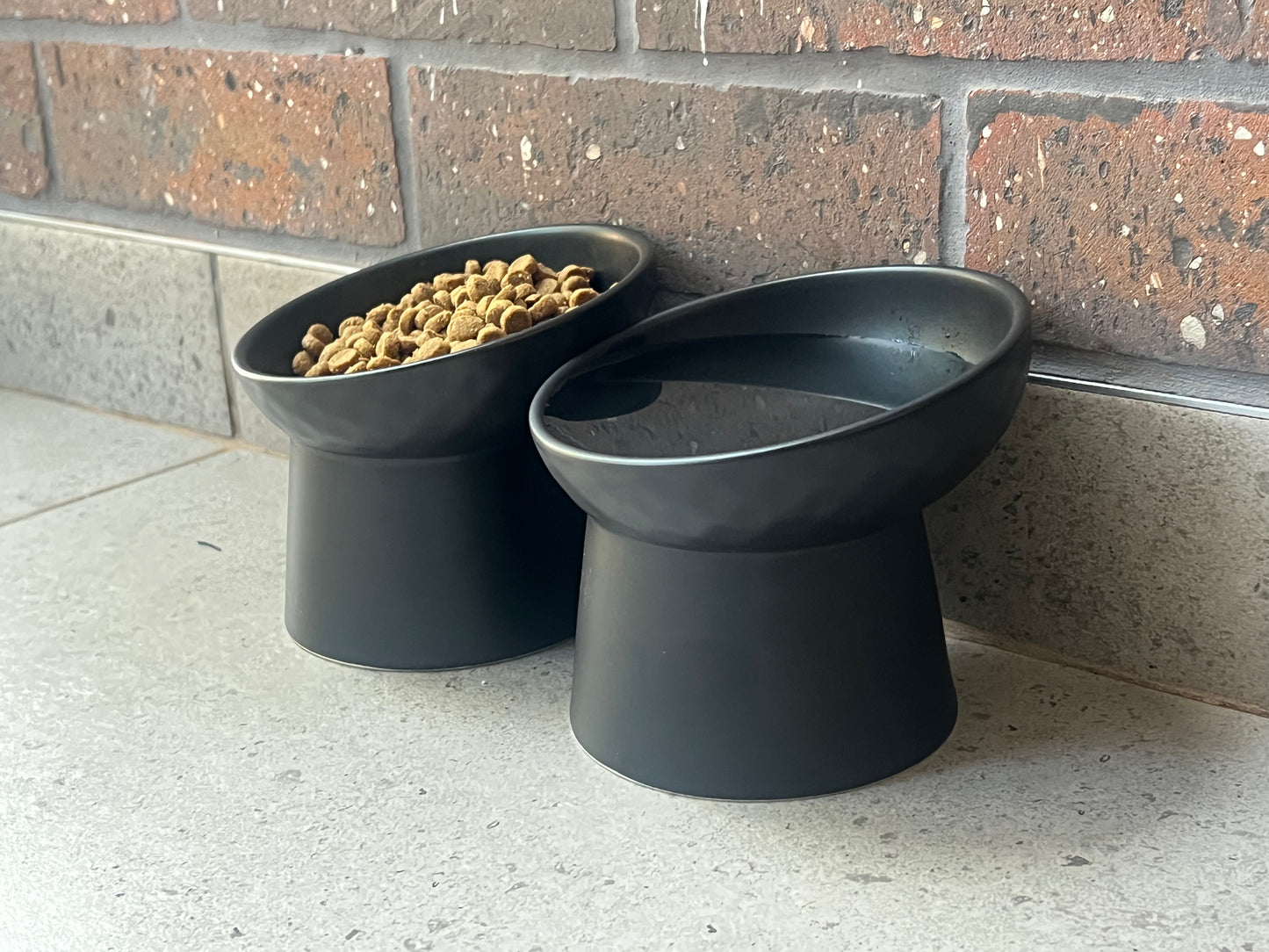 elevated ceramic pet bowl with slanted design for cats
