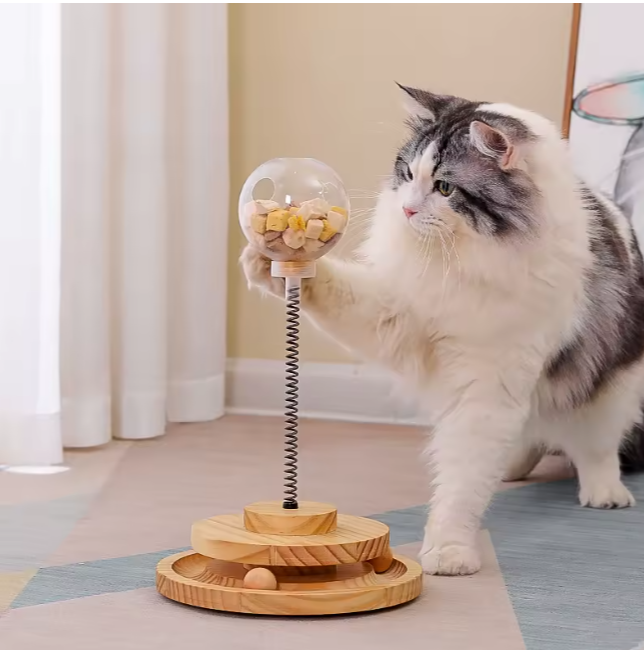 Maine Coon playing with wooden cat treat dispenser toy