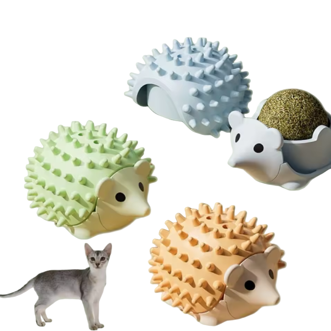 Blue, green, and orange hedgehog catnip toys shown on display