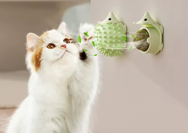 Cat licking wall-mounted hedgehog catnip ball toy