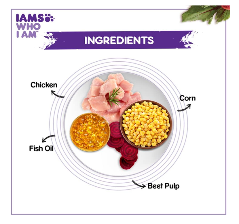Ingredients: chicken, fish oil, beet pulp, corn