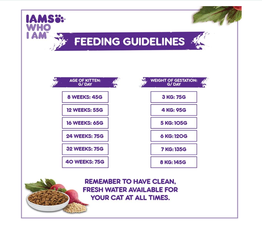 Feeding guidelines for kittens and pregnant cats