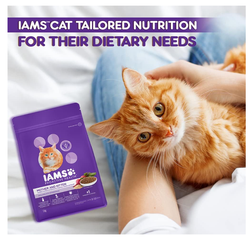 IAMS Proactive Health Mother & Kitten Cat Food |Chicken