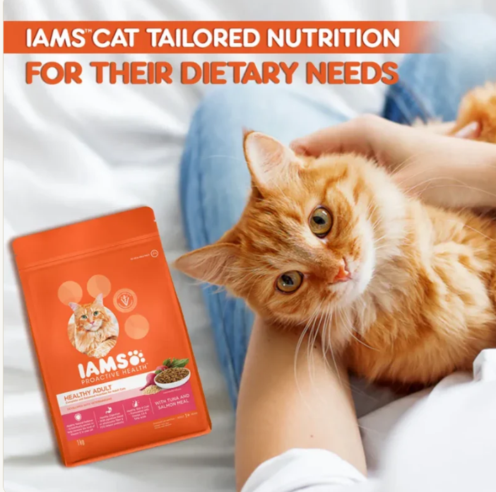 Lifestyle image of orange cat with IAMS Healthy Adult Tuna & Salmon food