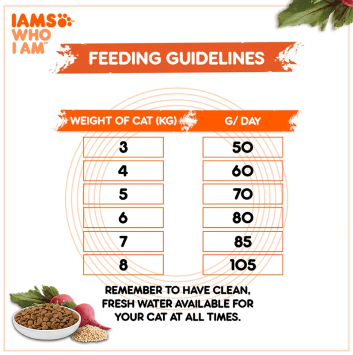 Feeding guidelines for IAMS Healthy Adult Tuna & Salmon cat food