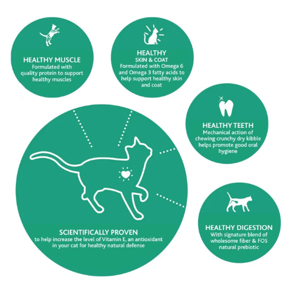 IAMS Proactive Health Healthy Adult Cat Food | Chicken & Salmon