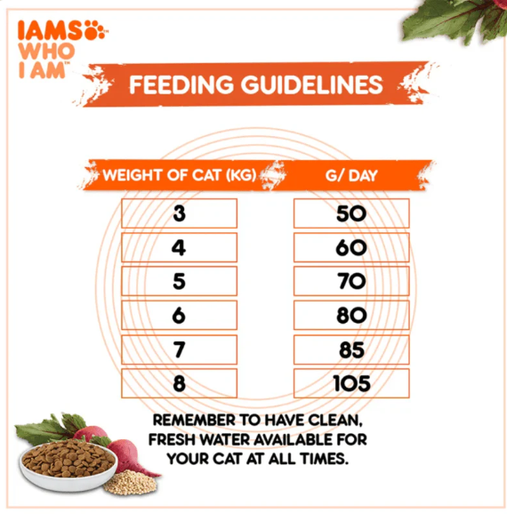 IAMS Proactive Health Healthy Adult Cat Food | Chicken & Salmon