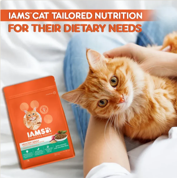 IAMS Proactive Health Healthy Adult Cat Food | Chicken & Salmon