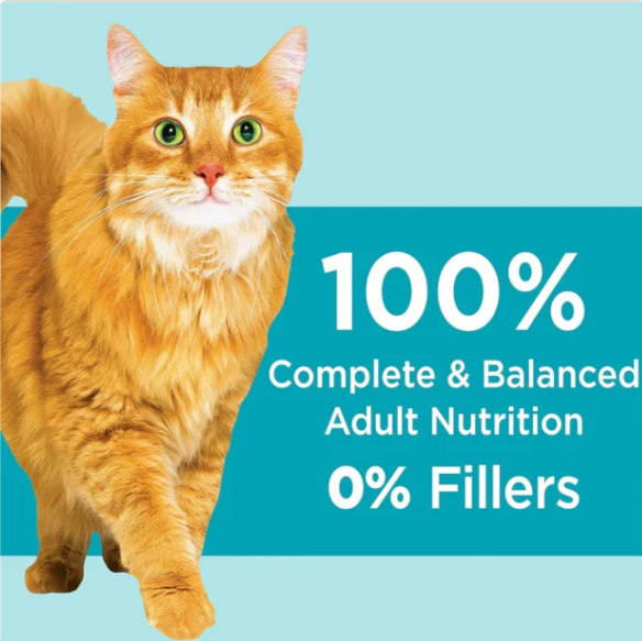 Ginger cat walking with text 100% complete and balanced adult nutrition 0% fillers