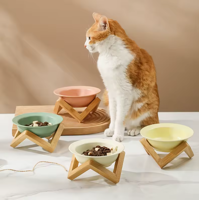 Cat syanding next to elegant elevated ceramic bowls on bamboo stands.