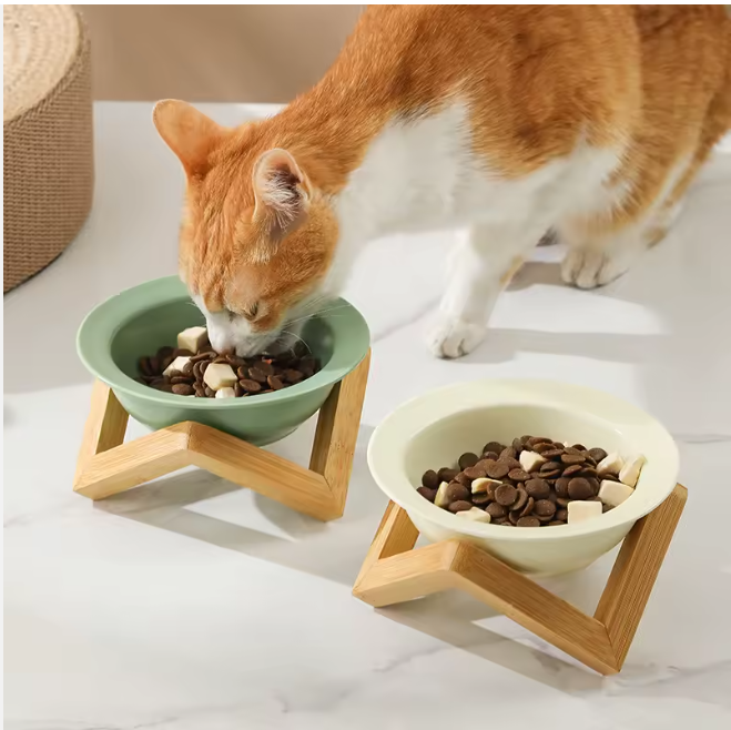 Cat eating from green elavated ceramic bowl on an elegant bamboo stand.