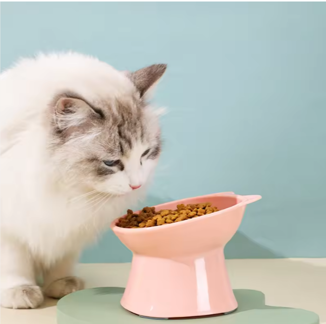 The Royal Goblet | Raised Cat Feeding Bowl