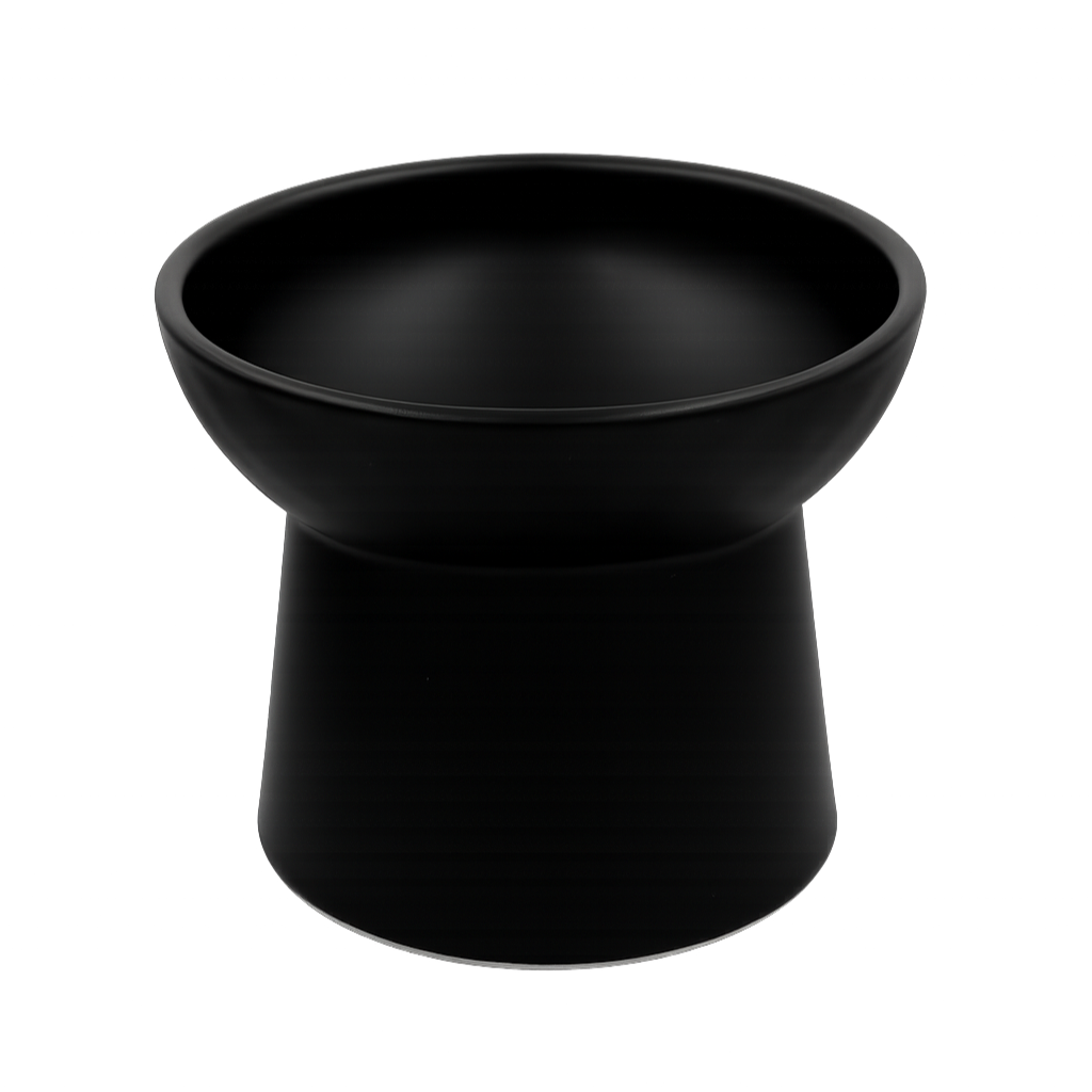 elevated ceramic pet bowl with slanted design for cats