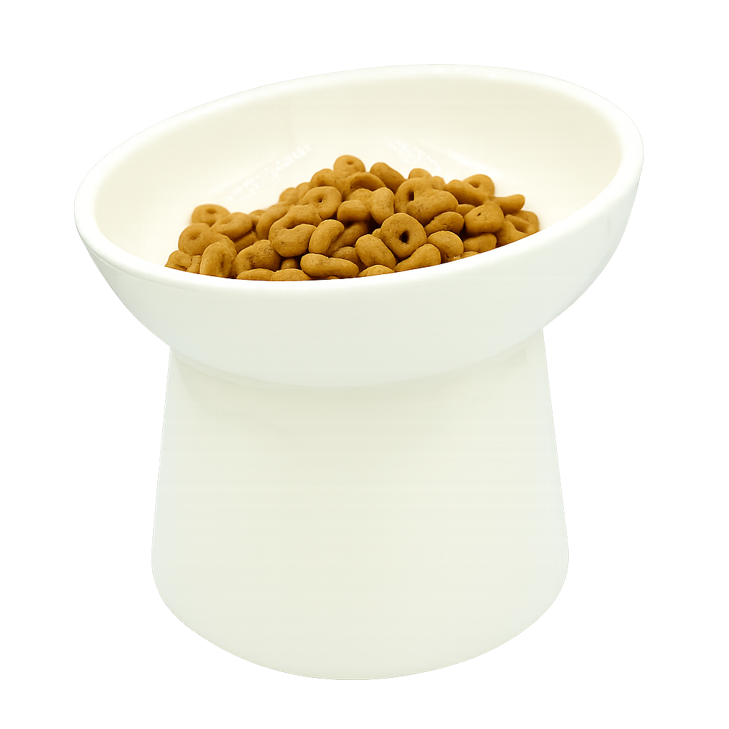 white elevated ceramic pet bowl with slanted design for cats
