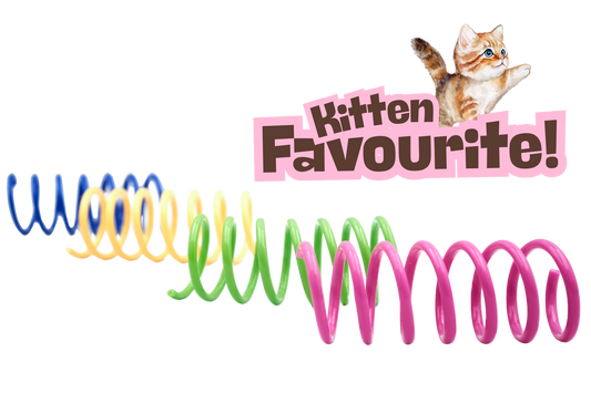 Colorful cat toy springs with a kitten illustration and 'Kitten Favourite!' text on a white background.