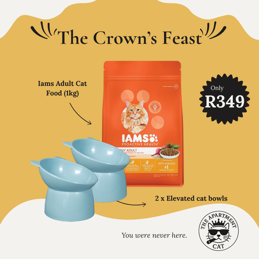 Cat litter box and scoop with Daro silica litter crystals bundle for odour-free indoor cat hygiene from The Apartment Cat. The Apartment Cat.