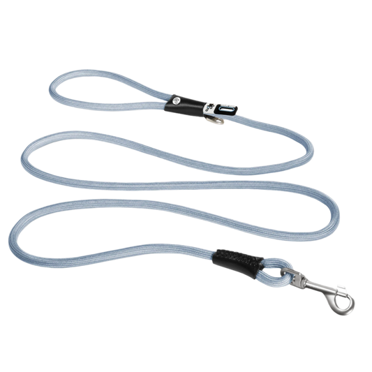 blue standard nylon leash with secure metal clasp