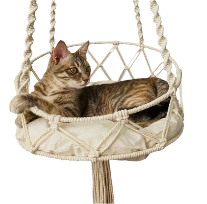 Cat lounging in cream macramé cotton hammock.