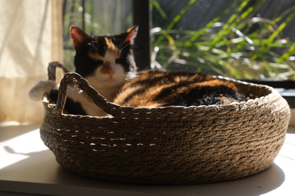 A black-dominant calico cat named Marmite lounges in a luxury round woven cat bed called The Verdict. Featuring a coat with black, orange, and white patches, Marmite appears completely relaxed and elevated in her perch. The woven cat bed is made from natural fibres and includes a soft, removable cushion. This stylish indoor cat bed serves as a perfect lounging spot and observation perch for cats. Captured in soft natural light, the scene reflects feline comfort, passive judgment, and quiet dominance — ideal