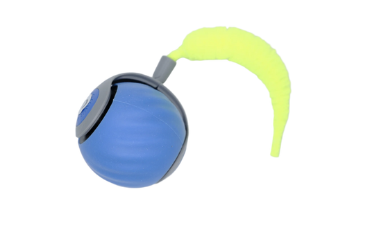 The Button