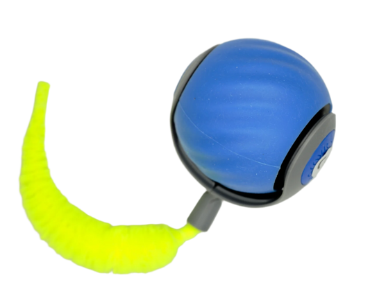 The Button