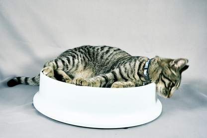 The Round Table | Cat Scratcher Bed – Durable Cardboard Lounge for Sleeping & Play