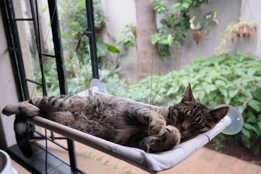 The Stakeout Perch | Cat Window Hammock with Strong Suction Cups