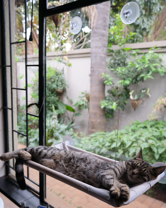 The Stakeout Perch | Cat Window Hammock with Strong Suction Cups