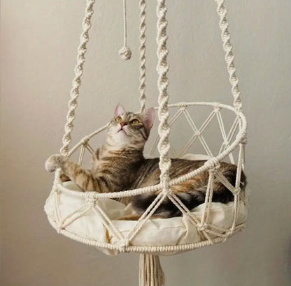 Cat resting in 40 cm rope swing seat.
